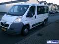 Peugeot Boxer 9 persoons 2.2 hdi diesel Wit - thumbnail 2