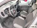Fiat Panda 1.0 hybrid City Life s&s 70cv 5p.ti Grau - thumbnail 6