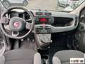 Fiat Panda 1.0 hybrid City Life s&s 70cv 5p.ti Grau - thumbnail 8