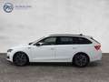 Skoda Octavia Sportline TDI DSG Weiß - thumbnail 3