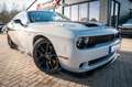 Dodge Challenger 5,7 HEMI V8 Leder Kamera Gris - thumbnail 16