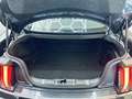 Ford Mustang Fastback 5.0 Ti-VCT Mach I Aut. Negro - thumbnail 16