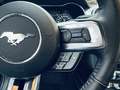 Ford Mustang Fastback 5.0 Ti-VCT Mach I Aut. Negro - thumbnail 28