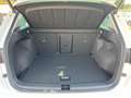 SEAT Ateca Xperience Ateca Xperience 1.5 TSI 110 kW (150 PS)  Weiß - thumbnail 8
