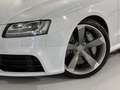 Audi RS5 4.2 quattro S-Tronic Білий - thumbnail 14