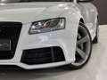 Audi RS5 4.2 quattro S-Tronic Білий - thumbnail 12