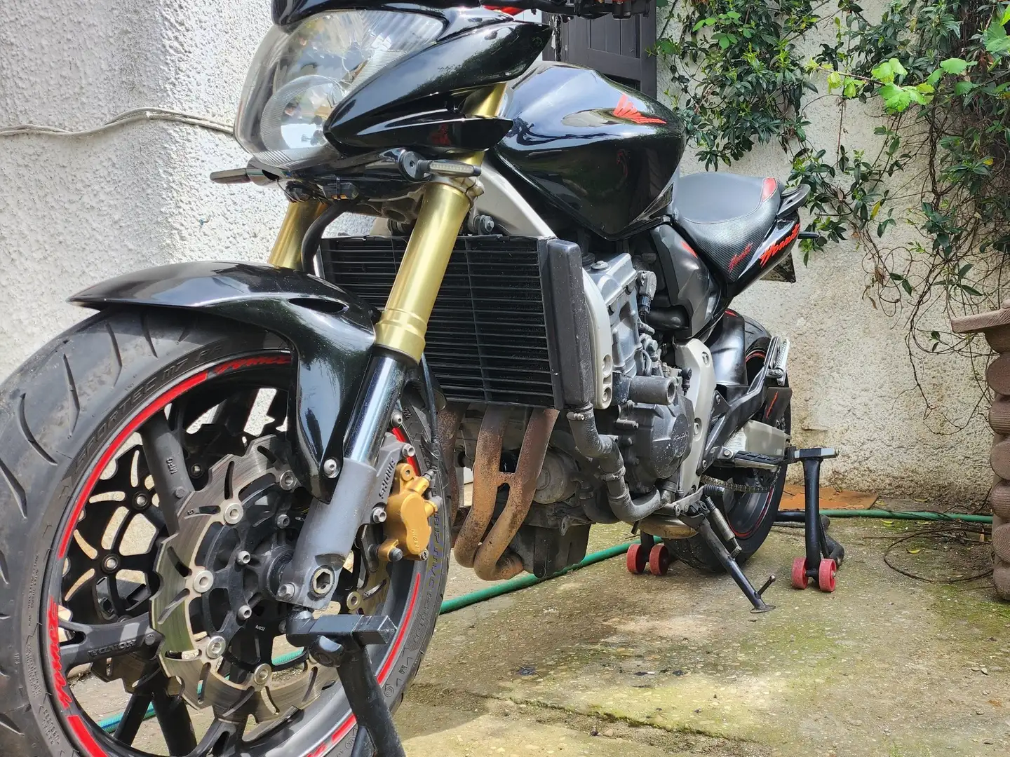 Honda CB 600 hornet Nero - 1