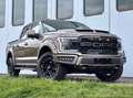 Ford F 150 2.7 V6 4x4 Super Crew/6-Sitzer/AHK-3.5t Brun - thumbnail 1