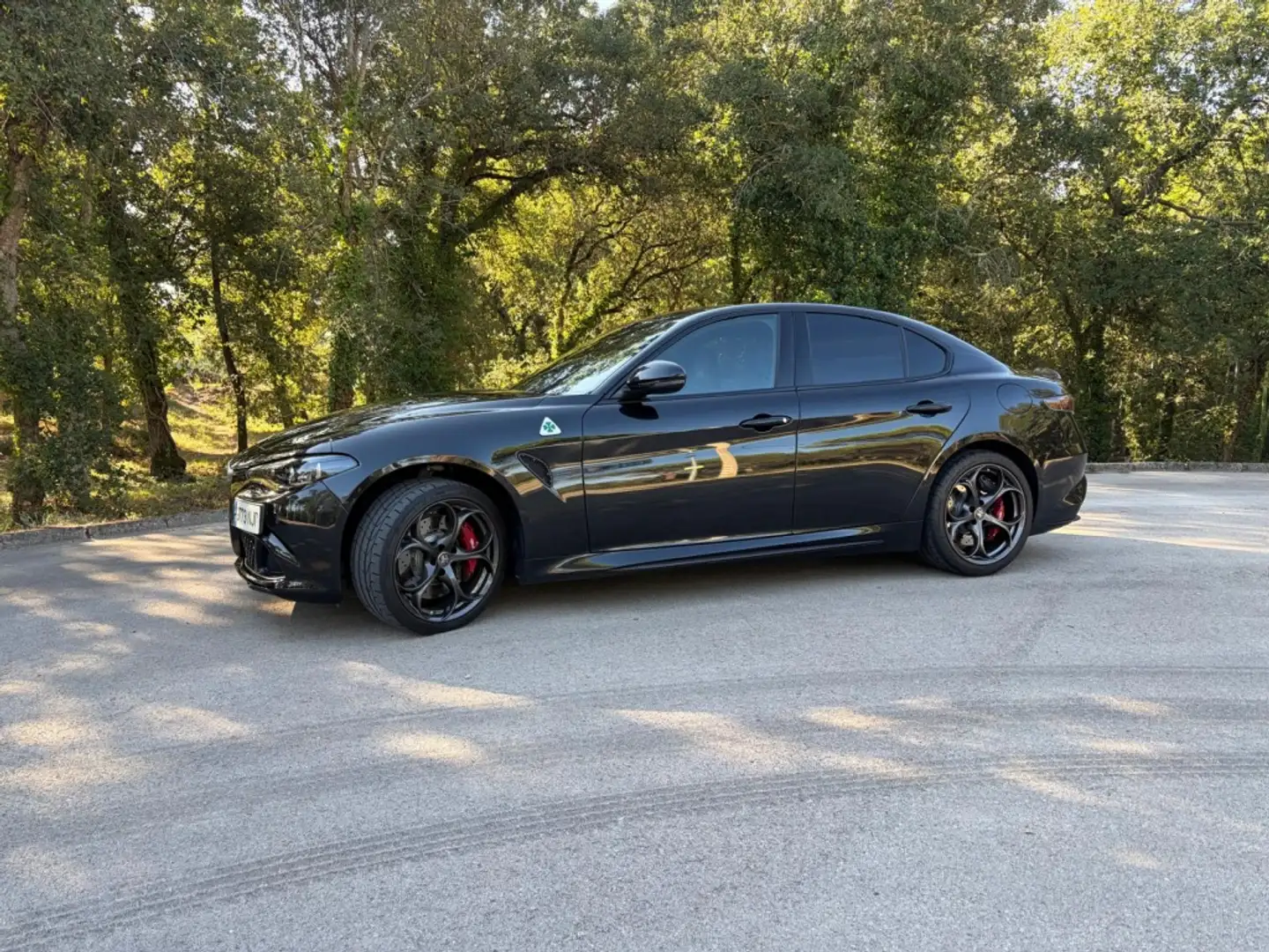 Alfa Romeo Giulia 2.9 Quadrifoglio Aut. 520 RWD Negro - 2