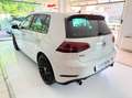 Volkswagen Golf GTI 2.0 tsi Gti Performance 245cv dsg Bianco - thumbnail 6