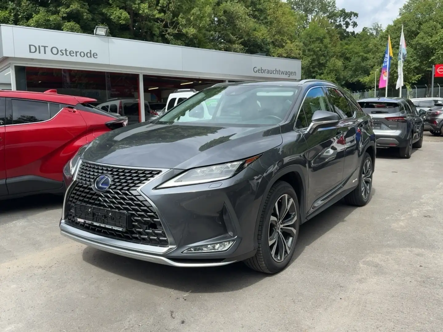 Lexus RX 450h AWD Executive Line FLA HUD 4xSHZ DynLi Gri - 2