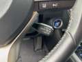 Lexus RX 450h AWD Executive Line FLA HUD 4xSHZ DynLi Gri - thumbnail 19