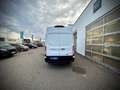 Ford Transit Transit Kasten Trend 350L3H3  2,0 EcoBlue 165PS... Weiß - thumbnail 14