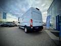 Ford Transit Transit Kasten Trend 350L3H3  2,0 EcoBlue 165PS... Weiß - thumbnail 5
