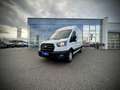 Ford Transit Transit Kasten Trend 350L3H3  2,0 EcoBlue 165PS... Weiß - thumbnail 2