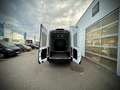Ford Transit Transit Kasten Trend 350L3H3  2,0 EcoBlue 165PS... Weiß - thumbnail 7