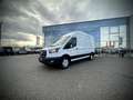 Ford Transit Transit Kasten Trend 350L3H3  2,0 EcoBlue 165PS... Weiß - thumbnail 3