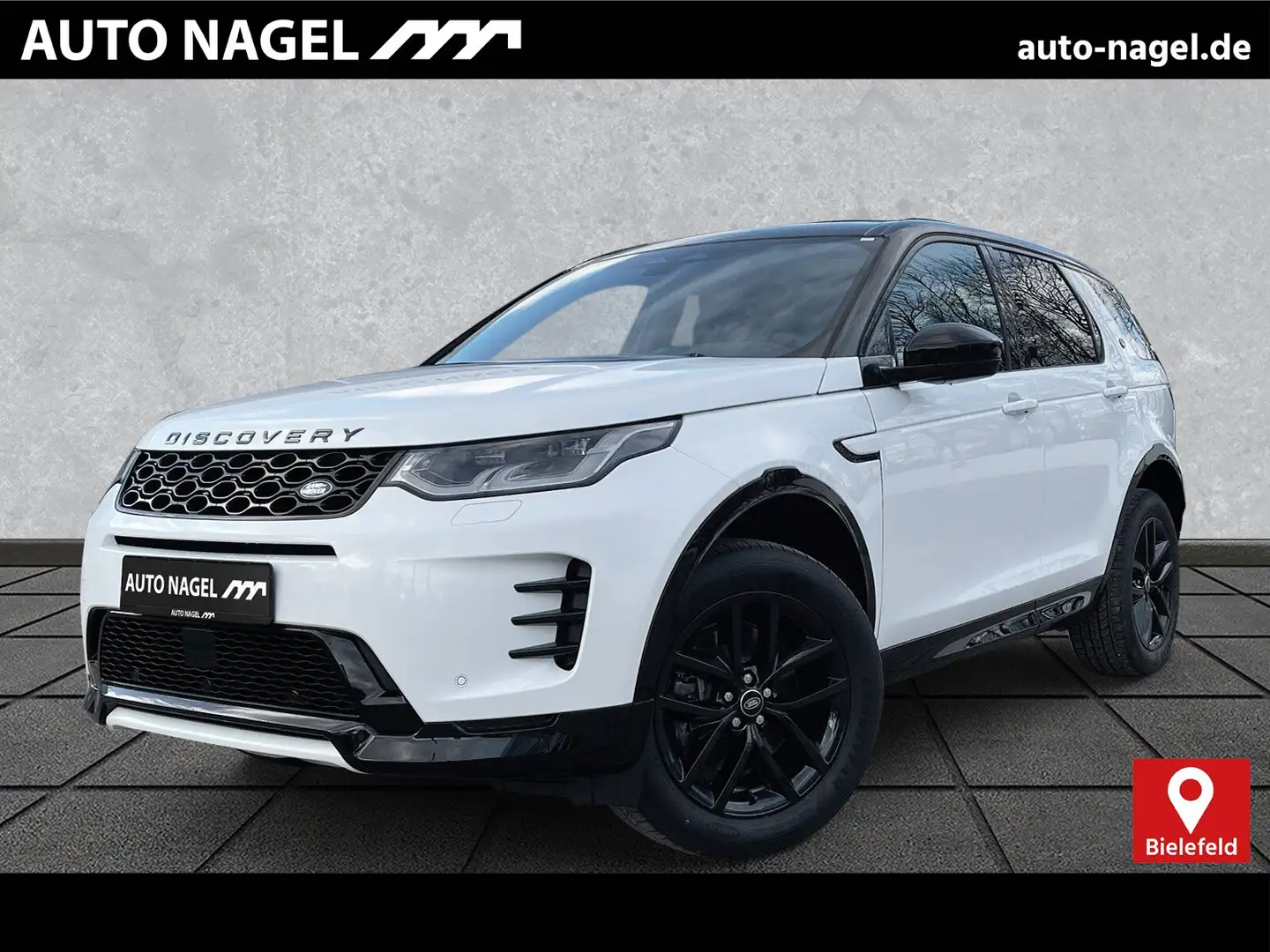 Land Rover Discovery Sport Discovery Sport D165 Dyn.SE 19"AHK WinterP.T-Win Blanc - 1