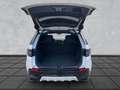 Land Rover Discovery Sport Discovery Sport D165 Dyn.SE 19"AHK WinterP.T-Win Weiß - thumbnail 10