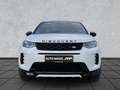 Land Rover Discovery Sport Discovery Sport D165 Dyn.SE 19"AHK WinterP.T-Win Weiß - thumbnail 8