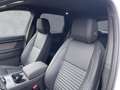 Land Rover Discovery Sport Discovery Sport D165 Dyn.SE 19"AHK WinterP.T-Win Weiß - thumbnail 11