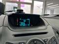 Ford EcoSport 1.5 Titanium*Keyless*SHZ*Tempomat*PDC* Blu/Azzurro - thumbnail 23