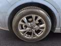 Ford Kuga 2.0 ecoblue ST-Line 2wd 120cv auto Blu/Azzurro - thumbnail 14