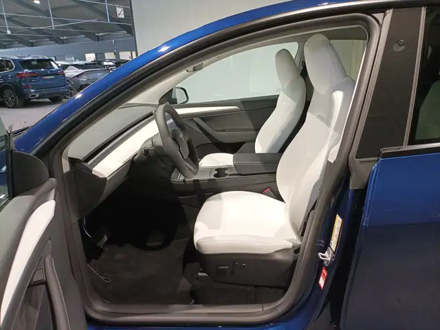 Tesla Model Y view 8