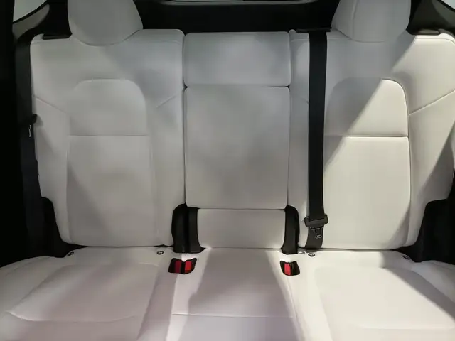 Tesla Model Y view 15