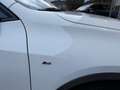 BMW X2 xDrive20d M Sport X Aut. Weiß - thumbnail 10