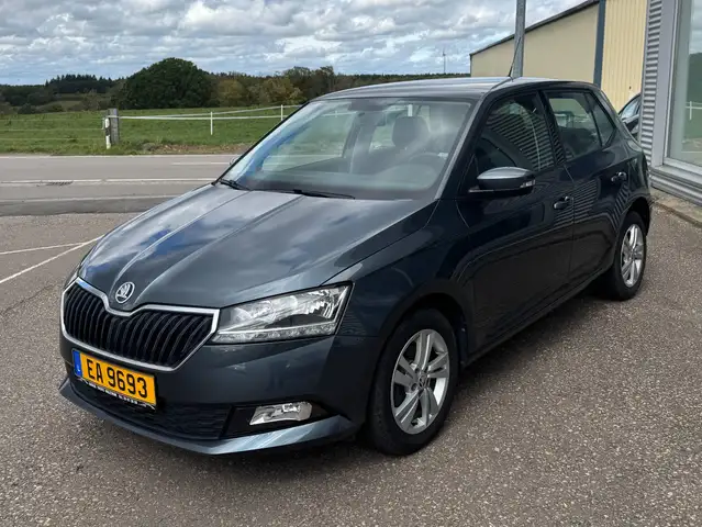 Skoda Fabia Fabia Combi 1.0 TSI Style