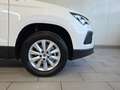 SEAT Ateca Reference Edition 1.0 TSI Weiß - thumbnail 6