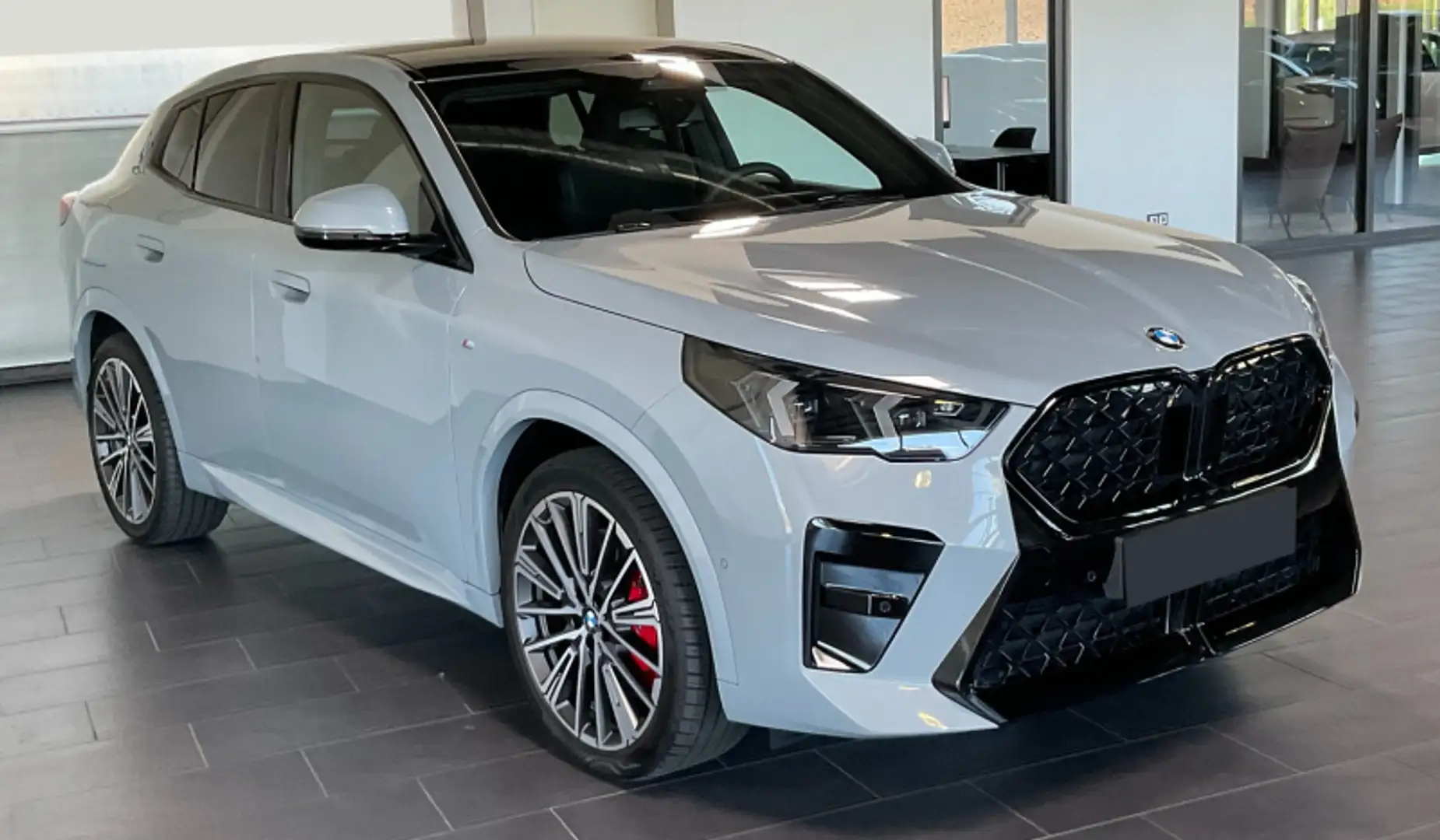 BMW X2 xDrive 20d Msport Pro Grau - 2