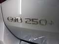 Mercedes-Benz EQB 250 250+ AMG Line 71 kWh | Panoramaschuifdak | Head-up Gris - thumbnail 43