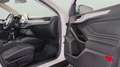 Ford Focus Sportbreak 1.5Ecoblue Trend+ Wit - thumbnail 13
