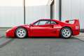 Ferrari F40 - Rosso Corsa - Cat / Non Adjust Rot - thumbnail 28