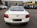 Bentley Continental Continental Supersports 1 of 710 Carbon Titan Abga Weiß - thumbnail 10
