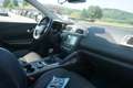 Renault Kadjar 1.2 TCe 130 XMOD ENERGY Beige - thumbnail 13