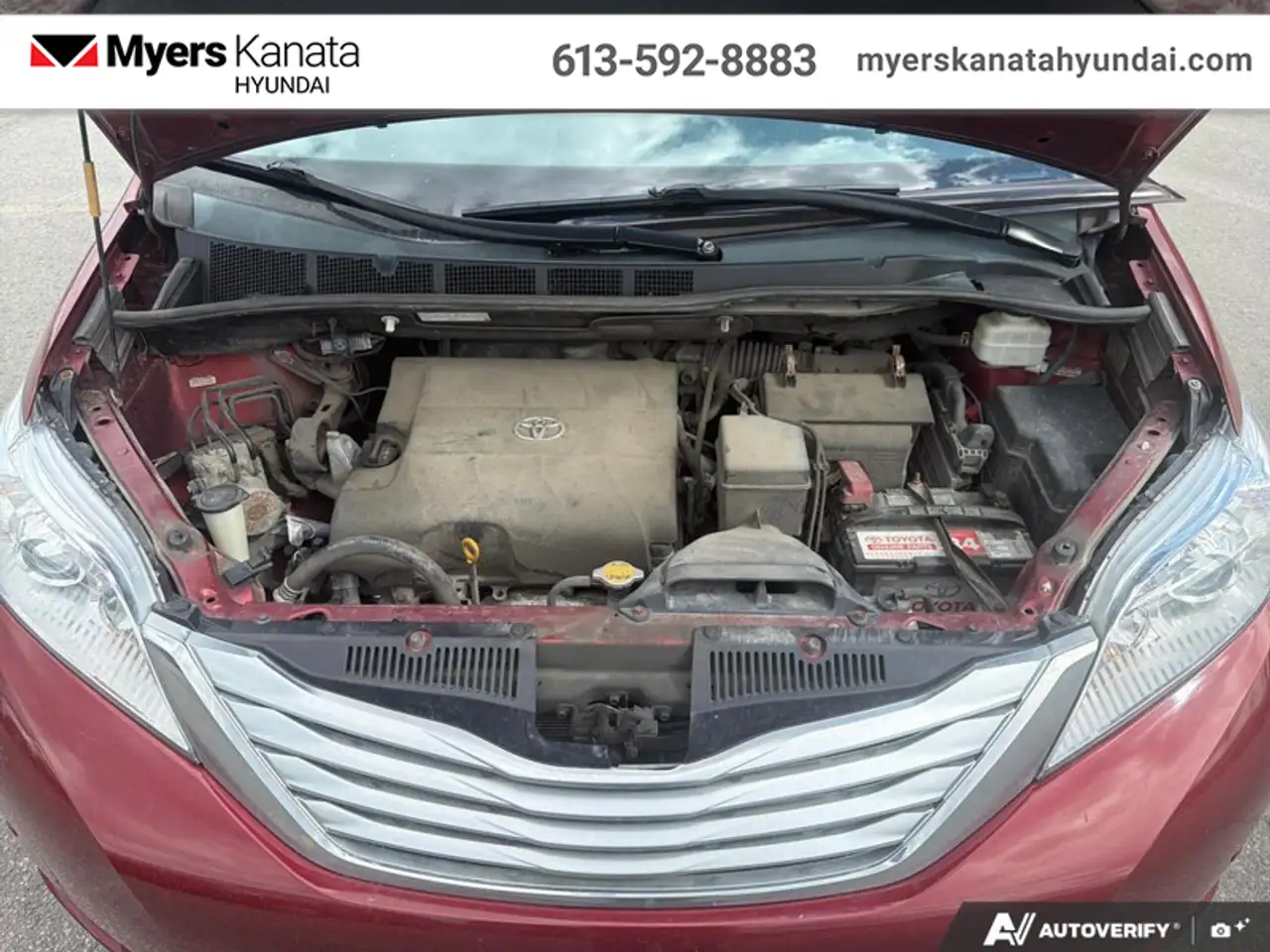 Toyota Sienna fotografie Toyota Sienna