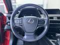 Lexus UX 250h UX 250h Style Edition 1,4kWh Rot - thumbnail 15