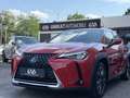 Lexus UX 250h UX 250h Style Edition 1,4kWh Rot - thumbnail 5