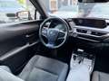 Lexus UX 250h UX 250h Style Edition 1,4kWh Rot - thumbnail 11
