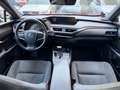 Lexus UX 250h UX 250h Style Edition 1,4kWh Rot - thumbnail 10