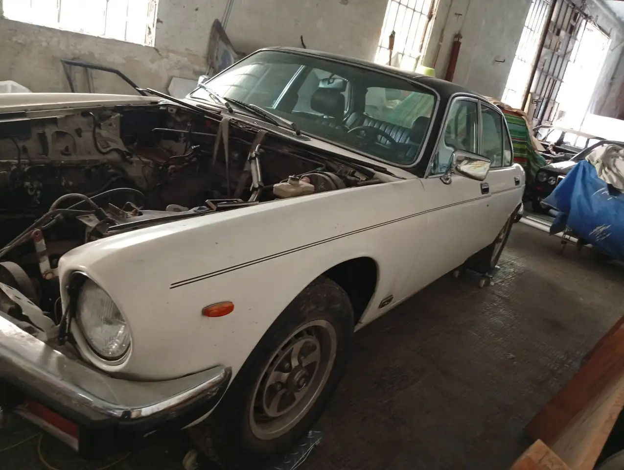 Jaguar XJ6 4.2, foto 8