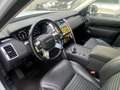 Land Rover Discovery 3.0D I6 249 CV AWD Auto SE Bianco - thumbnail 4