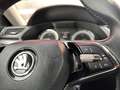 Skoda Superb Combi 1.4 TSI iV Business Edition Plus Gris - thumbnail 17