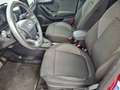 Ford Puma 1.0 ecoboost Hybrid Titanium *AUT*NAVI*TAGLIANDI* Rojo - thumbnail 8