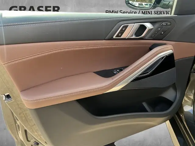 BMW X6 view 10