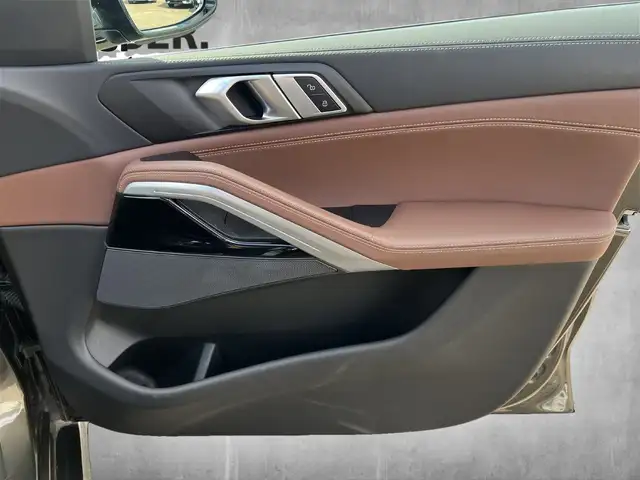 BMW X6 view 12