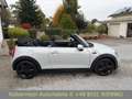 MINI One _CABRIO ONE Cabrio One JCW ALU|SHZ|PDC| Silber - thumbnail 8